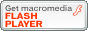 macromedia flash