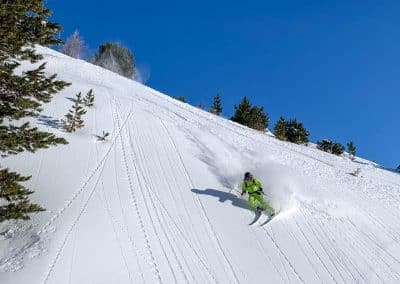 Skifahren im Powder