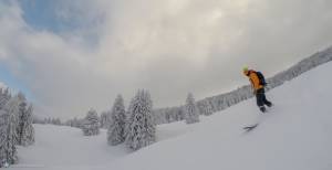 Freeride
