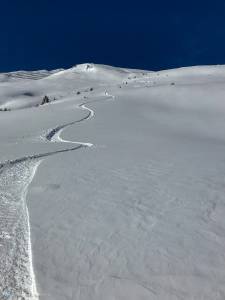 Freeriding