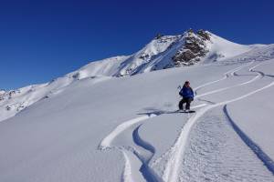 Powderday