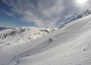 Freeriding