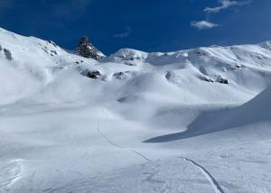 Freeriding
