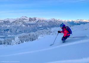 Powder