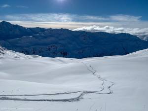 Freeriding