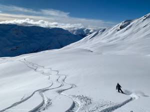 Freeriding