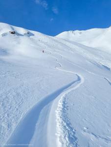 Freeriding