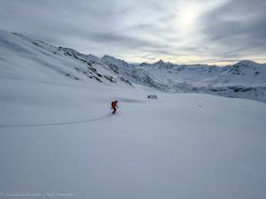 Pischa