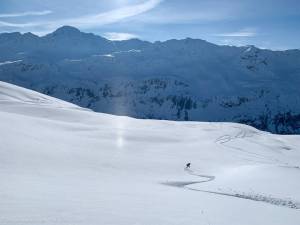 IMG 6161