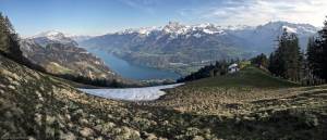 IMG_6455