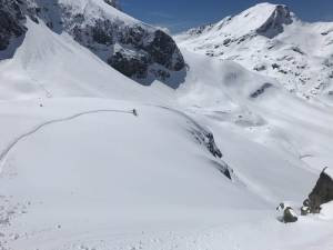 Powder