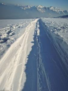 Spuren im Schnee