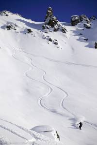 Powder