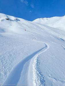 Abfahrten im Powder
