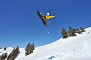fakie 540 Stalefish